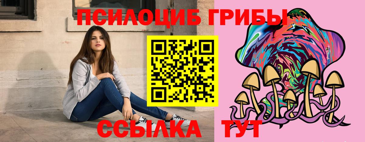 Орёл  Псилоцибиновые грибы Cubensis  Вход с VPN 